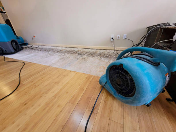 Professional Basement Flood Cleanup technician working in Marriottsville, MD